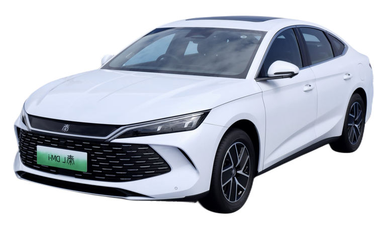 BYD Qin Qin L thumbnail picture