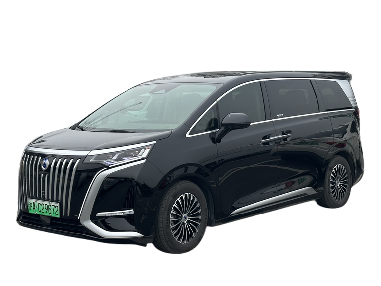 Denza D9 D9 thumbnail picture