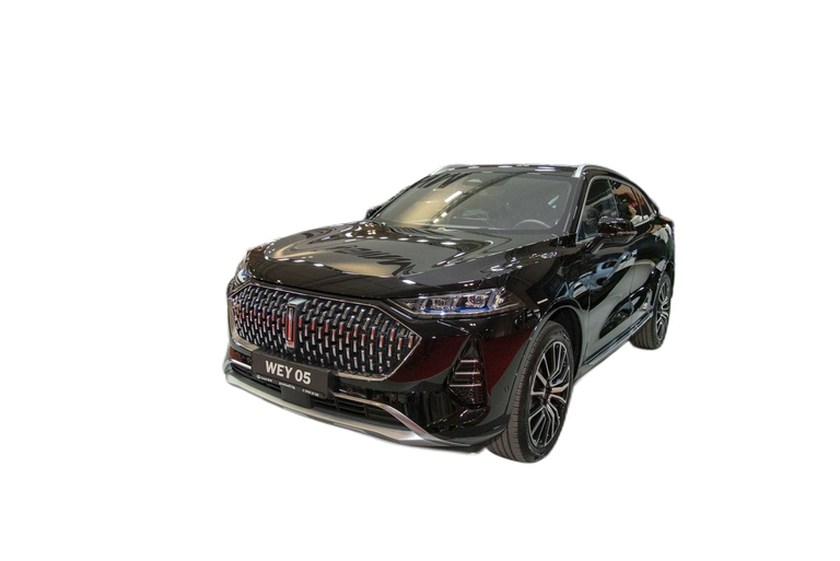 WEY 05 05 thumbnail picture