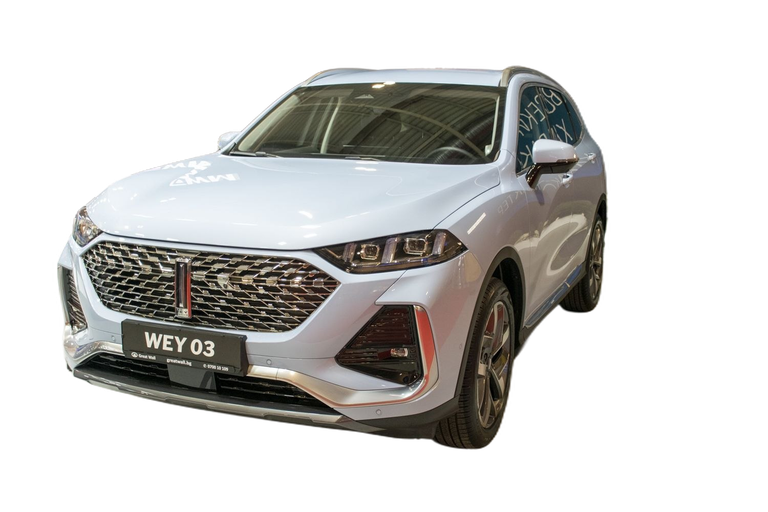 WEY 03 03 thumbnail picture