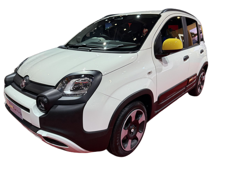 Fiat Panda Pandina thumbnail picture