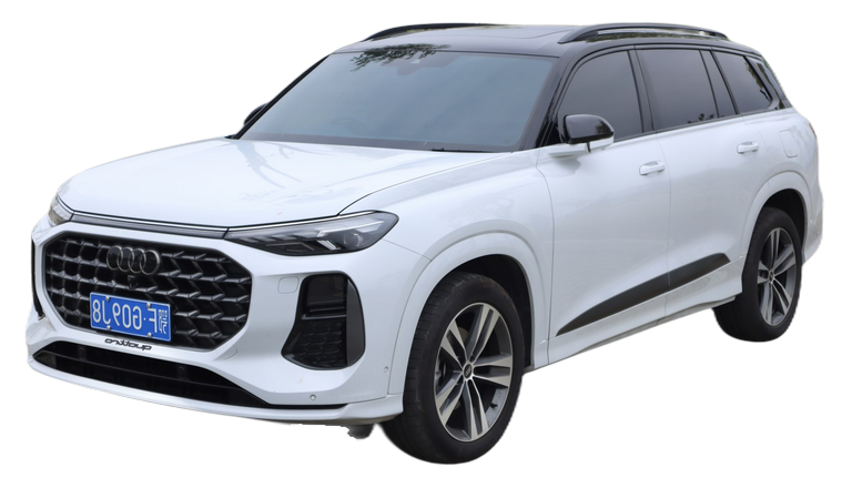 Audi Q6 Q6 thumbnail picture