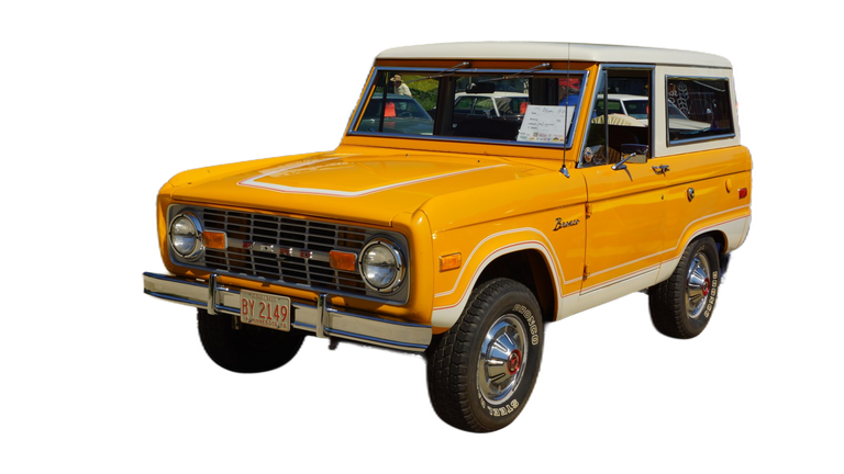 Ford Bronco Bronco I thumbnail picture