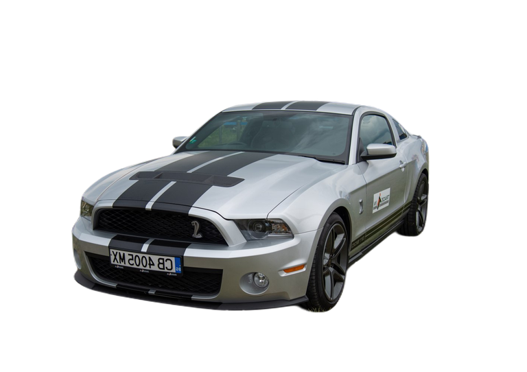 Ford Shelby Shelby II (facelift 2010) thumbnail picture