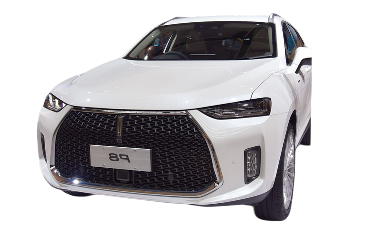 WEY P8 P8 Concept thumbnail picture