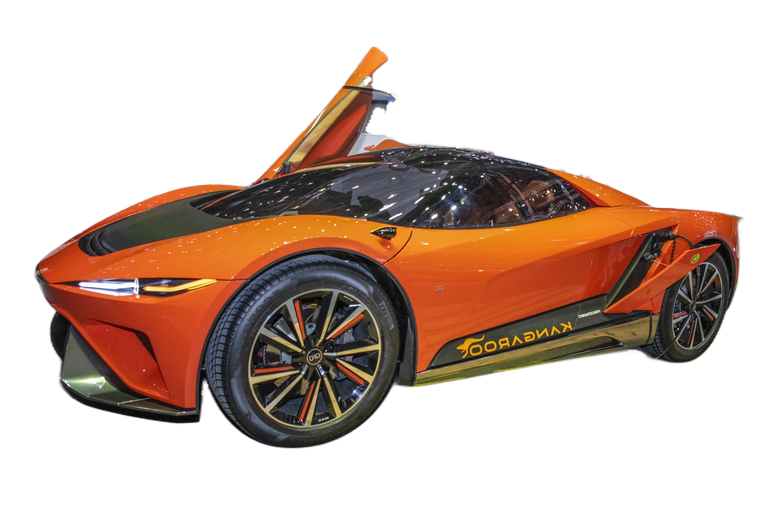 GFG Style Kangaroo Kangaroo Concept thumbnail picture