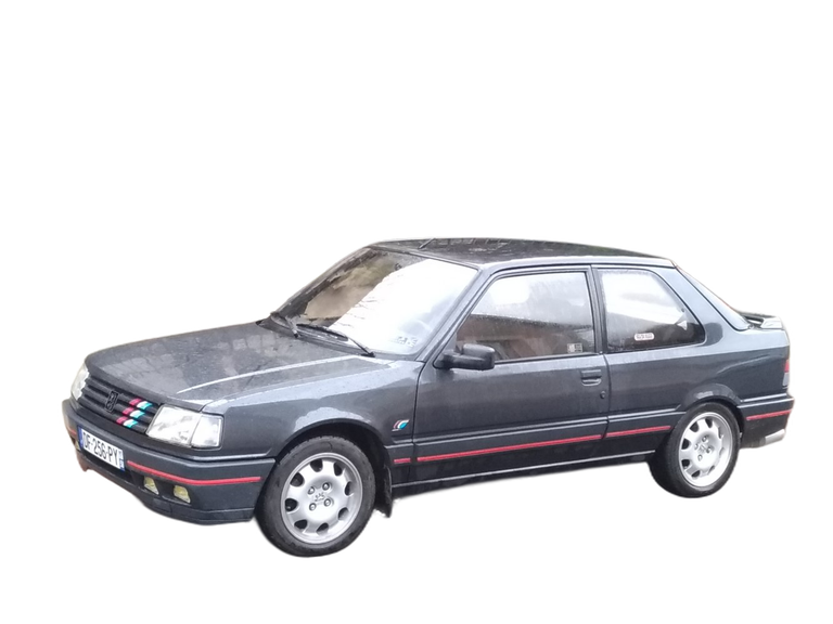 Peugeot 309 309 (3C,3A facelift 1989) 3-door thumbnail picture