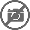 Dallas's logo picture