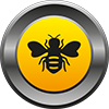 Bee Bee's logo picture