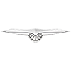 Techrules's logo picture