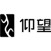 Yangwang's logo picture