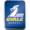 Qvale's logo picture